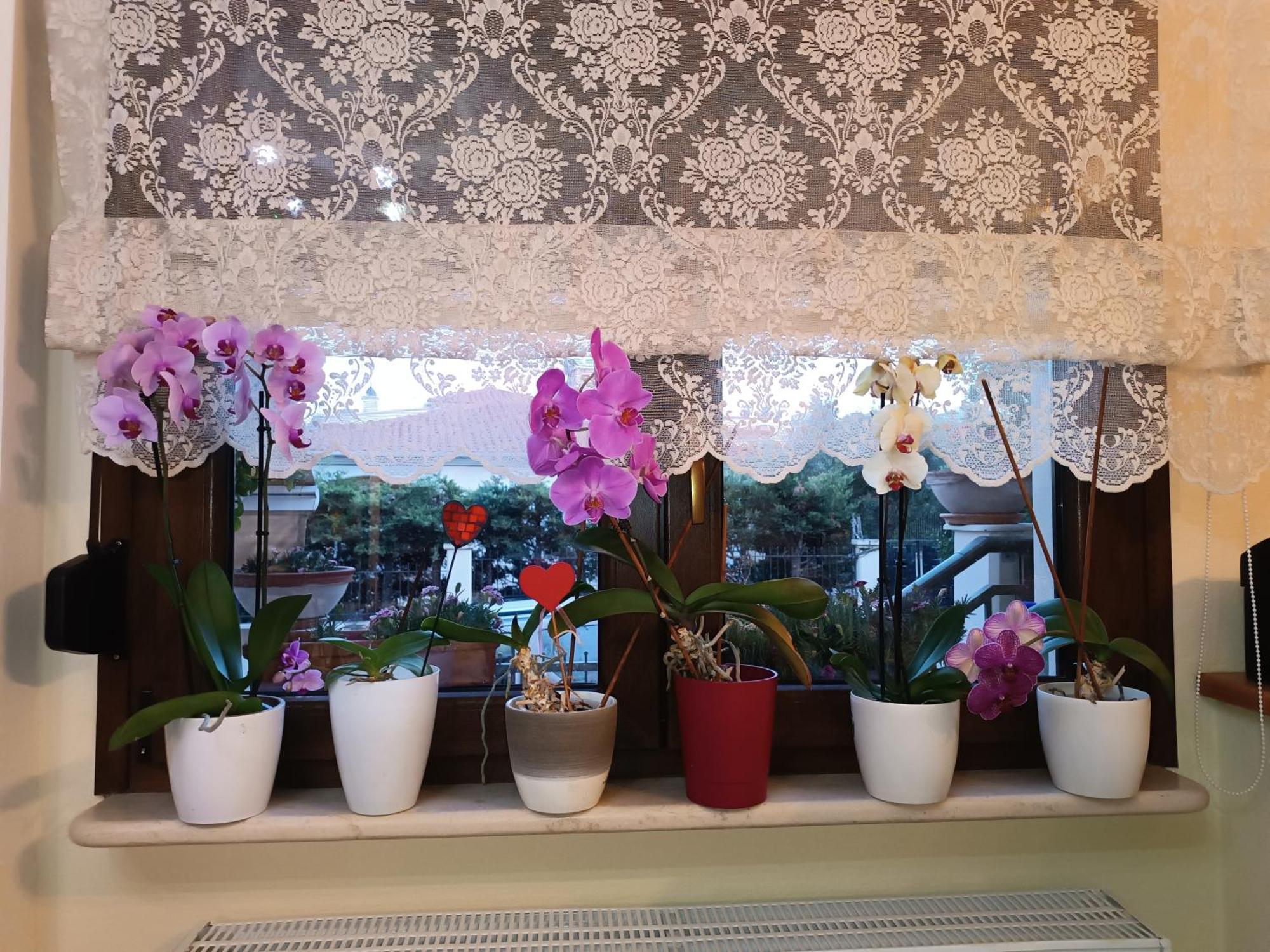 Family House Villa Alexandroupolis Buitenkant foto